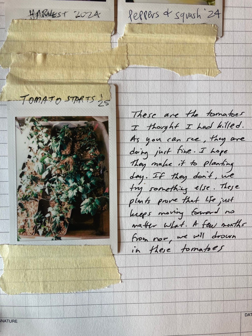 How to Kill&nbsp;Tomatoes