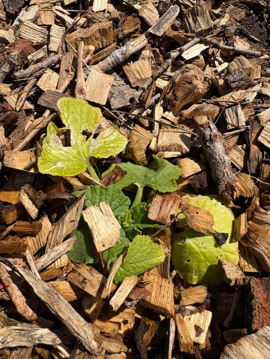 The Problem with the&nbsp;Present